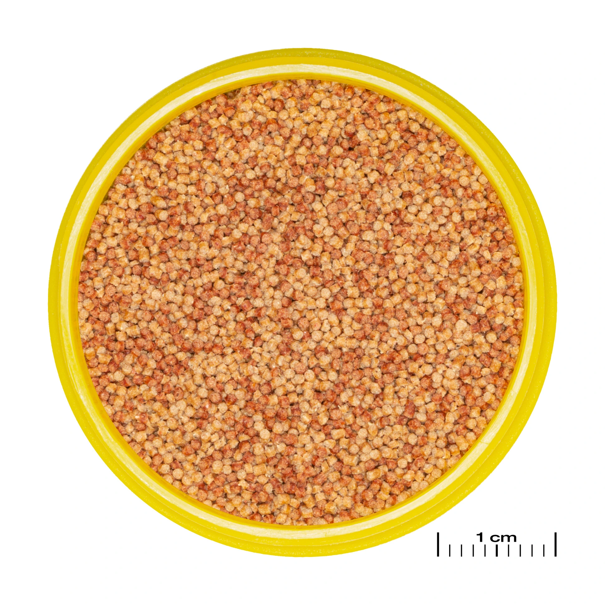 JBL ProNovo Color Grano S 100 ml